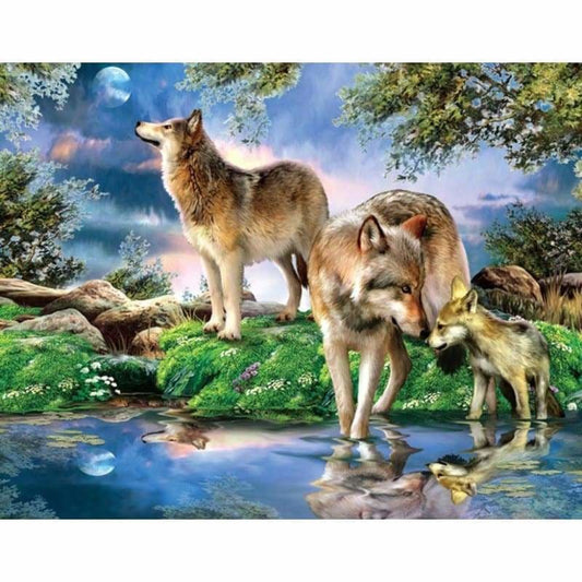 Full Drill - 5D DIY Diamond Painting Kits Colorful Cartoon 