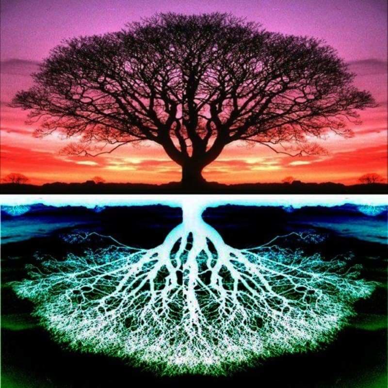 Full Drill - 5D DIY Diamond Painting Kits Colorful Fantasy 