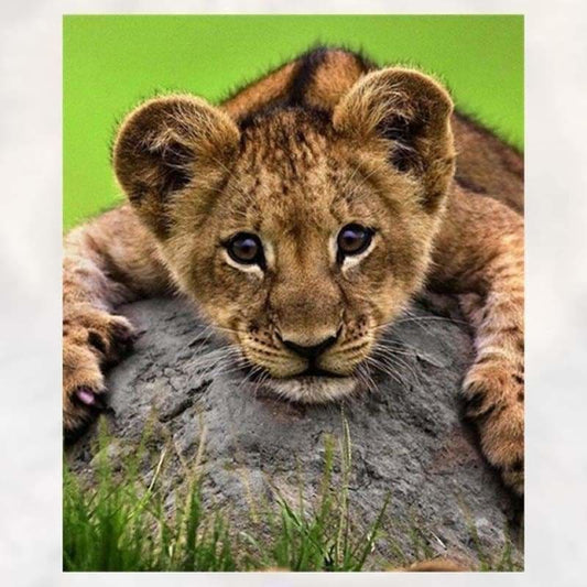 Full Drill - 5D DIY Diamond Painting Kits Cute Leopard Baby