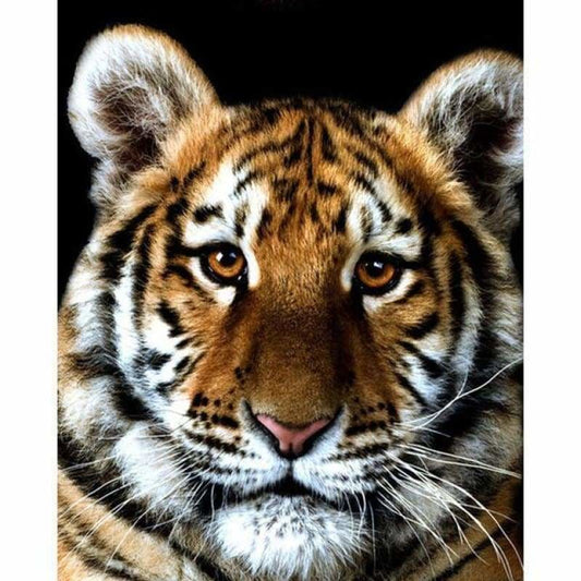 Full Drill - 5D DIY Diamond Painting Kits Cute Tiger Baby -