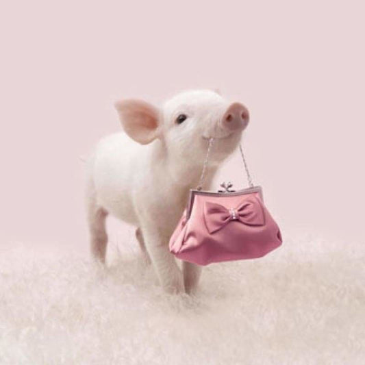 Full Drill - 5D DIY Diamond Painting Kits Funny Cute Pig