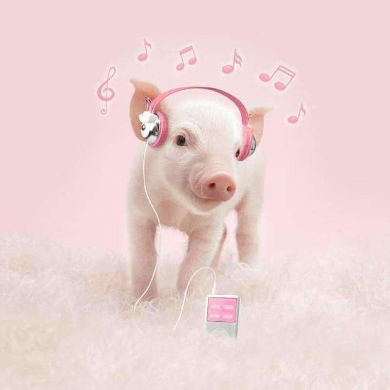 Full Drill - 5D DIY Diamond Painting Kits Music Pink Pig