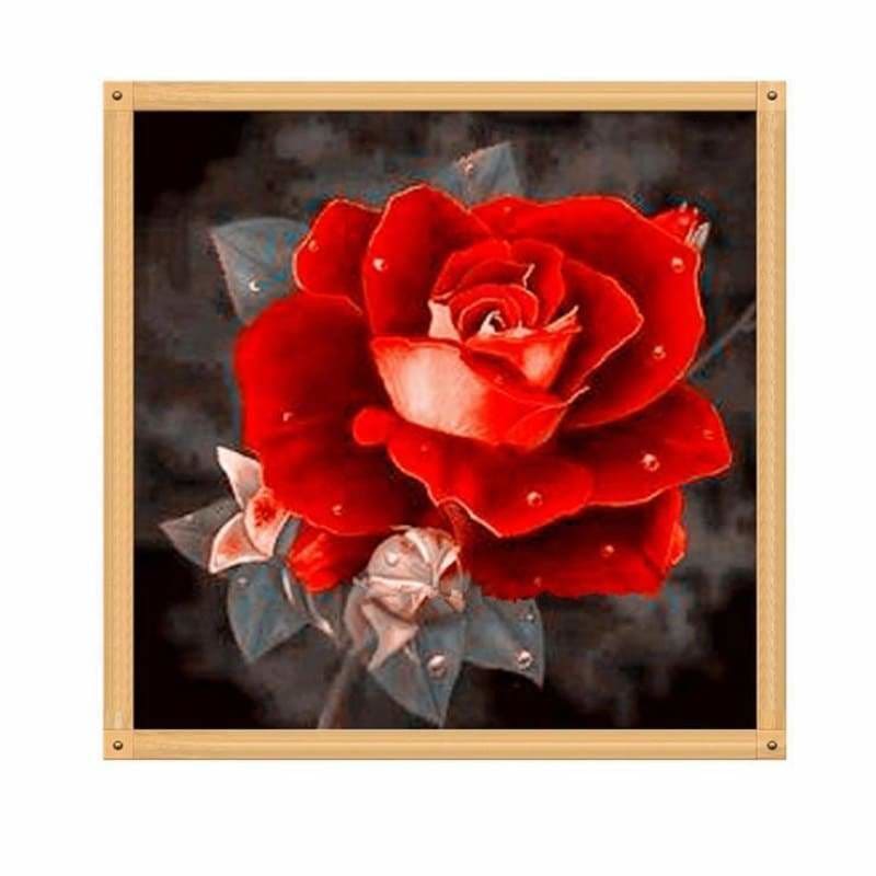 Full Drill - 5D DIY Diamond Painting Kits Special Pretty 