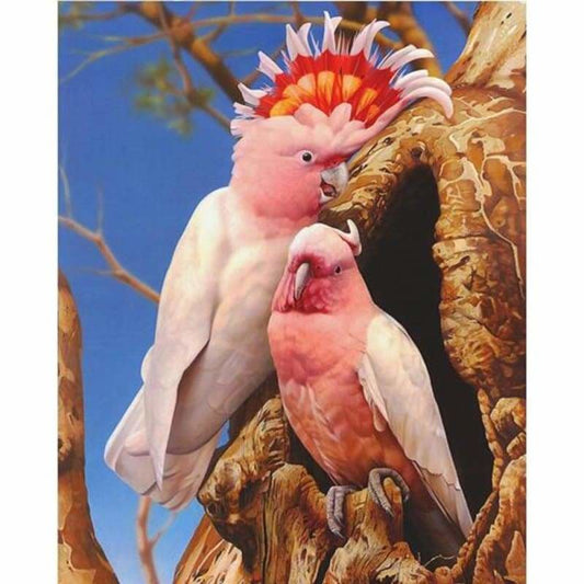 Full Square Drill Cute Parrot Full Drill - 5D Diy Diamond