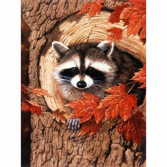 Full Square Drill Raccoon Full Drill - 5D Diy Diamond