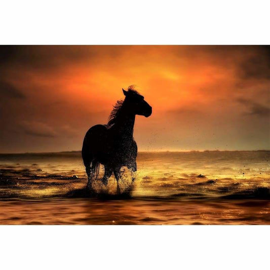 Horse I- Full Drill Diamond Painting - Special Order - Full