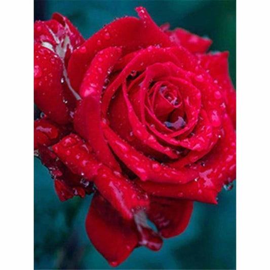 Hot Sale Home Decor Red Rose Full Drill - 5D Diy Diamond