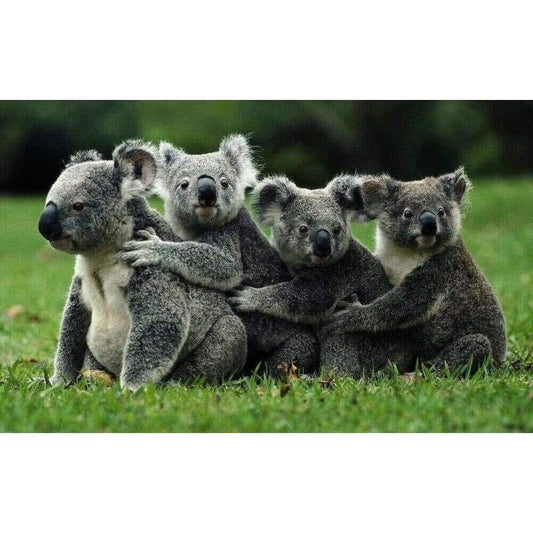 Koala’s In A Row- Full Drill Diamond Painting - Special