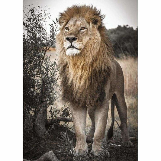Lion Full Drill - 5D Diy Diamond Painting Kits Mosaic - Z3