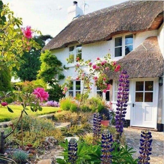 Full Drill - 5D Diamond Painting Kits Cottage Garden Picture - NEEDLEWORK KITS