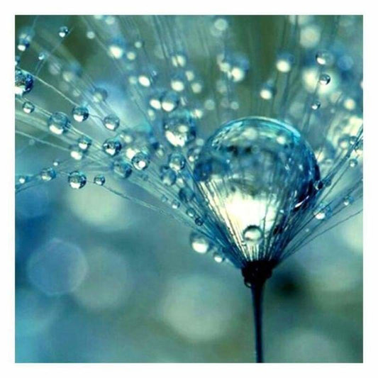 New Dandelion Diy Full Drill - 5D Crystal Diamond Painting