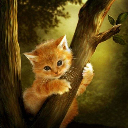 New Hot Sale Cute Cat Picture Full Drill - 5D Diy Diamond