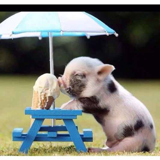 New Hot Sale Cute Pig Eating Ice Cream Full Drill - 5D