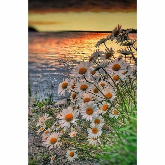 New Hot Sale Flower Full Drill - 5D Diy Diamond Painting