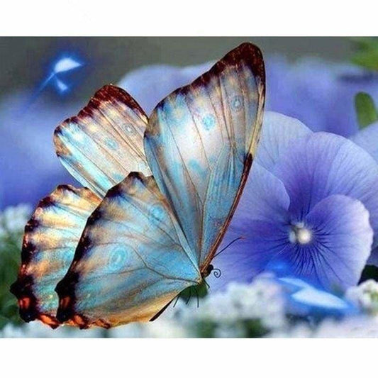 New Hot Sale Full Circular Butterfly Full Drill - 5D Diy