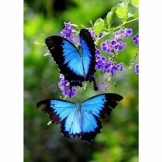 New Hot Sale Full Square Canvas Butterfly Full Drill - 5D