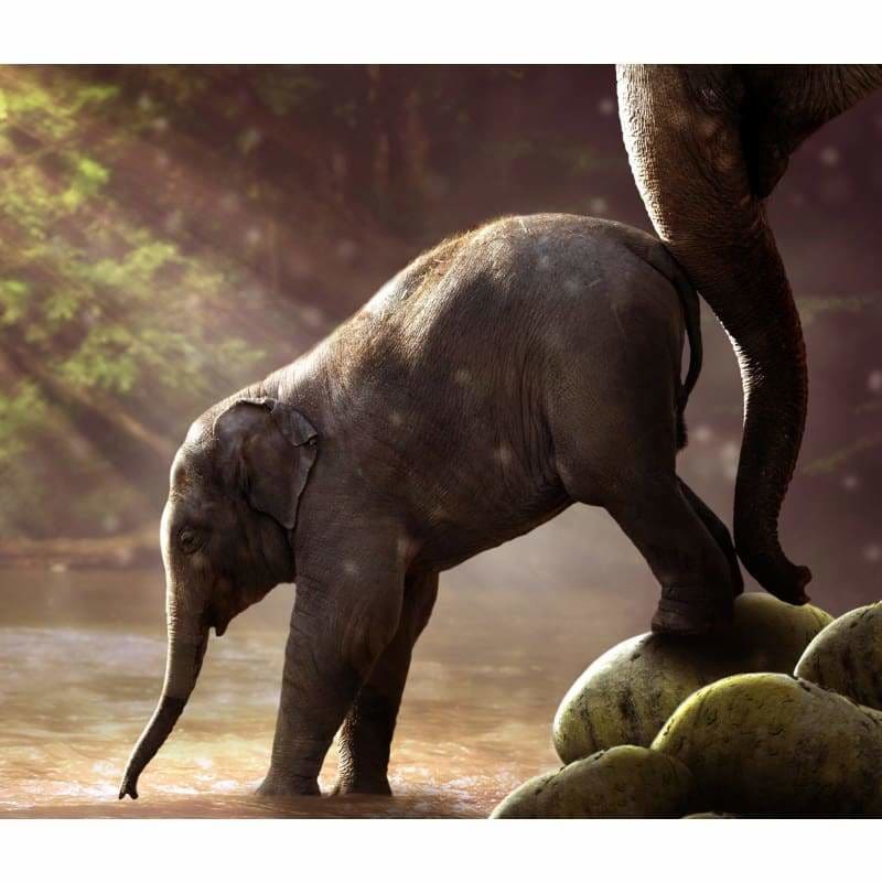 New Hot Sale Wall Decor Elephants Full Drill - 5D Diy 