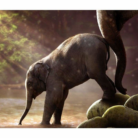 New Hot Sale Wall Decor Elephants Full Drill - 5D Diy
