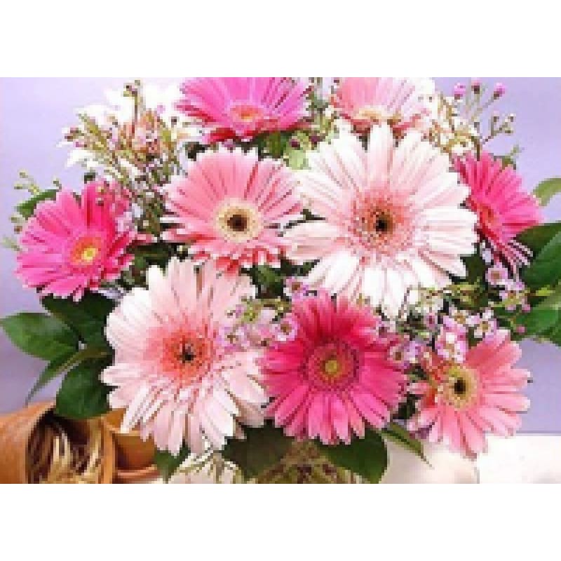 Pink and White Daisies - NEEDLEWORK KITS