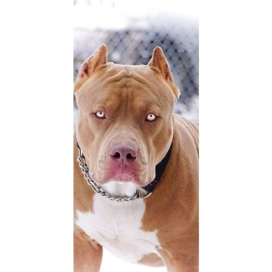 Pitball- Full Drill Diamond Painting - Special Order - Full