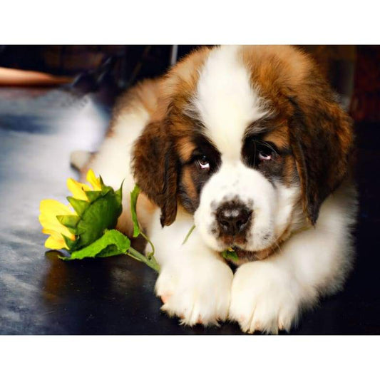 Precious Puppies 03 - Full Drill Diamond Painting - Special