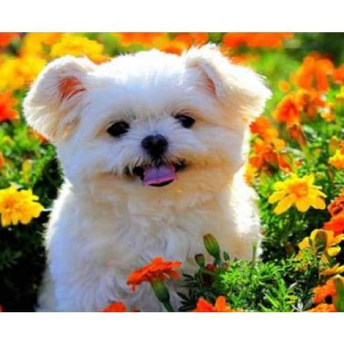 Precious Puppies 04 - Full Drill Diamond Painting - Special