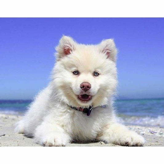 Puppy on the beach - Full Drill Diamond Painting - Special