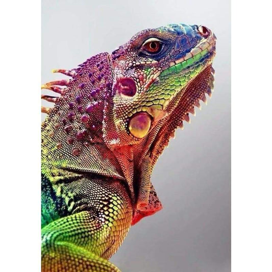 Rainbow Chameleon- Full Drill Diamond Painting - Special