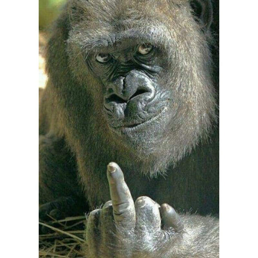 Rude Gorilla Animal - Full Drill Diamond Painting - Special