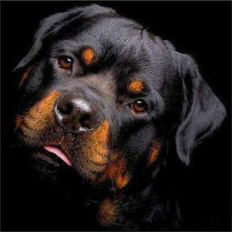 Special Dog Rottweiler Pictures Full Drill - 5D Diy Diamond 