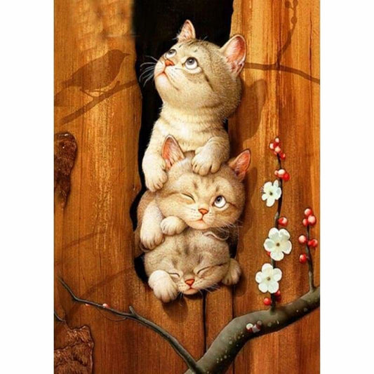 Full Drill - 5D Diy Diamond Painting Kits Funny Pet Cute Cats Picture - NEEDLEWORK KITS